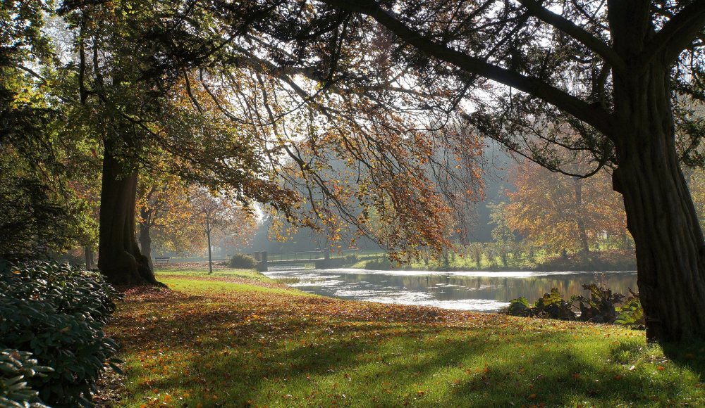 Landgoed Duivenvoorde